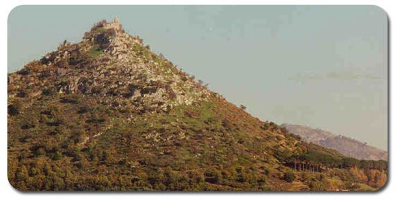 Boschi dell'agro